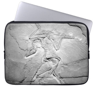 Archaeopteryx fossil Neoprene Laptop Sleeve 13"