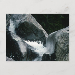 ARCHAIC TORSO OF APOLLO POSTCARD