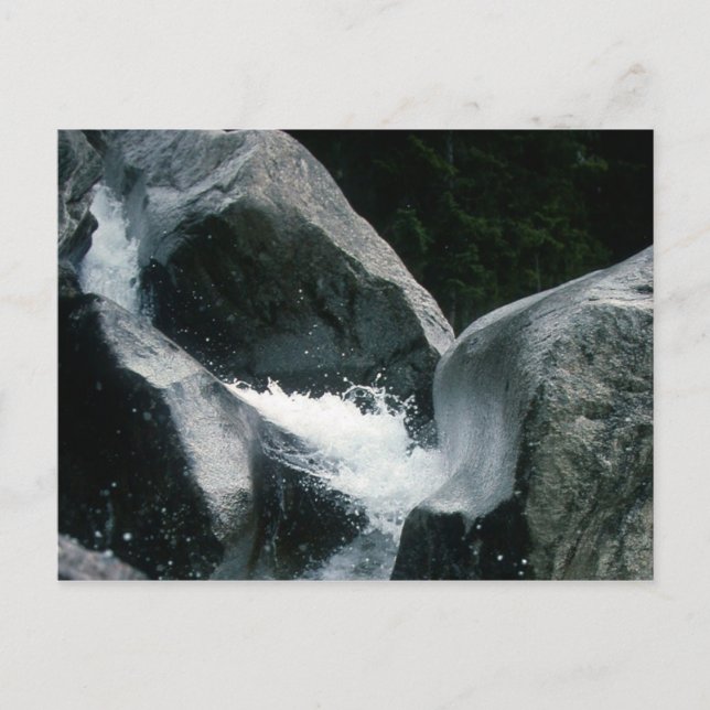 ARCHAIC TORSO OF APOLLO POSTCARD (Front)