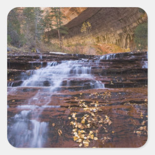 Archangel cascades in the Left Fork of the Square Sticker