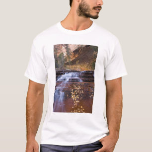 Archangel cascades in the Left Fork of the T-Shirt
