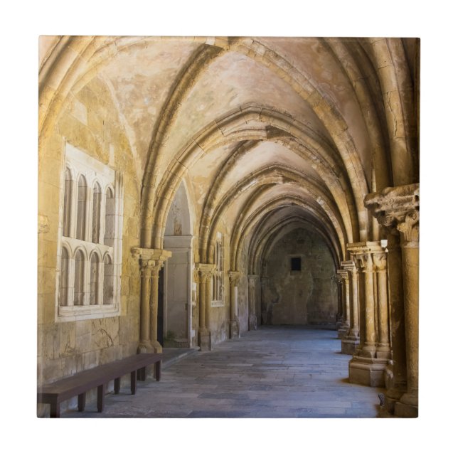 Arched Cathedral Cloister Hallway Ceramic Tile (Front)
