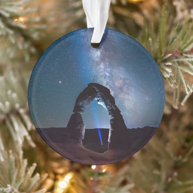 Arches National Park at night MOAB Ornament (Tree)