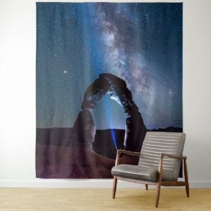 Arches National Park at night MOAB Tapestry