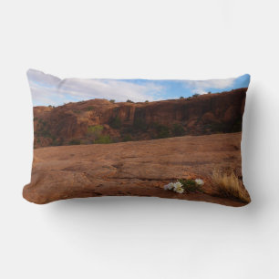 Arches Slickrock and Evening Primrose Landscape Lumbar Cushion