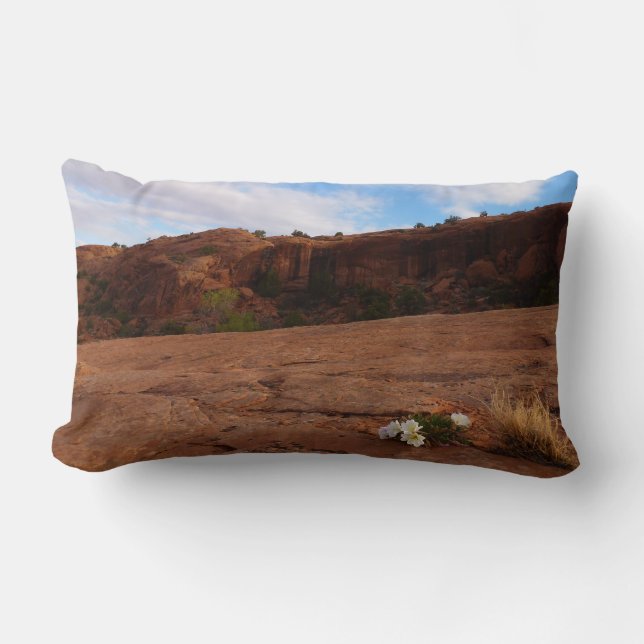 Arches Slickrock and Evening Primrose Landscape Lumbar Cushion (Front)
