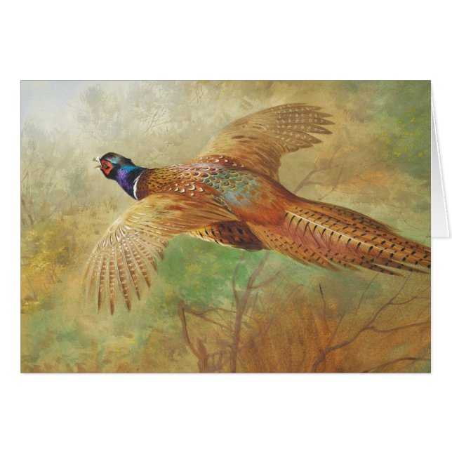 Archibald Thorburn Flying pheasant Bird paintings (Front Horizontal)