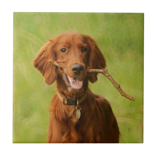 Archie Ceramic Tile (Front)