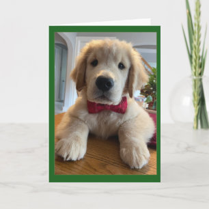 Archie Christmas Bowtie Thank You Card