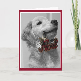 Archie Christmas Noel Thank You Card