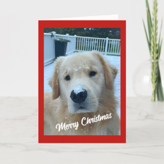 Archie Christmas Snow #3 Thank You Card