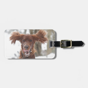 Archie II Luggage Tag