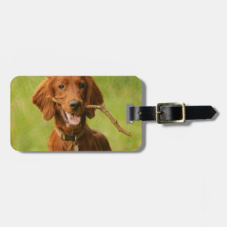 Archie Luggage Tag