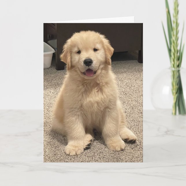 Archie's Adventures Birthday Card  (Front)