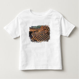 Architectural details in the Forbidden City, Toddler T-Shirt