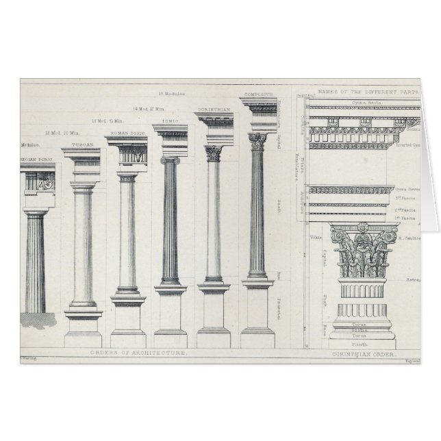 Architecture I: Orders of Architecture (Front Horizontal)