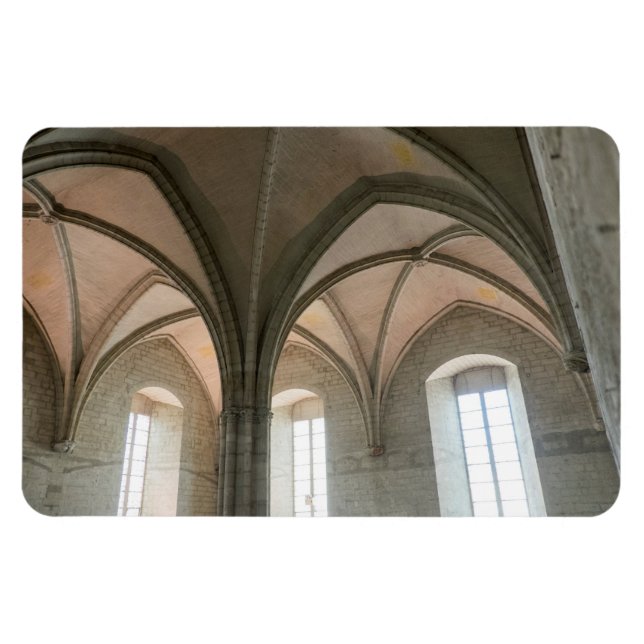 Architecture Of The Papal Palace Magnet (Horizontal)