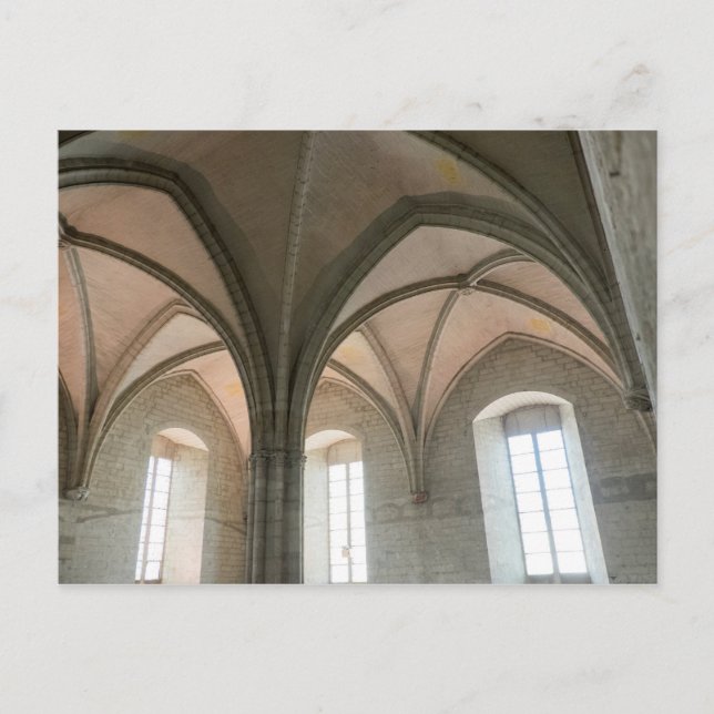 Architecture Of The Papal Palace Postcard (Front)