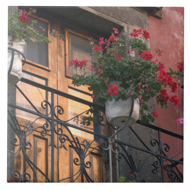 Architecture on the streets of San Miguel de Tile (Front)