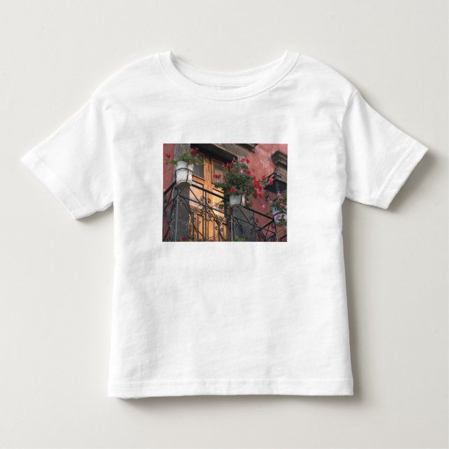 Architecture on the streets of San Miguel de Toddler T-Shirt (Front)