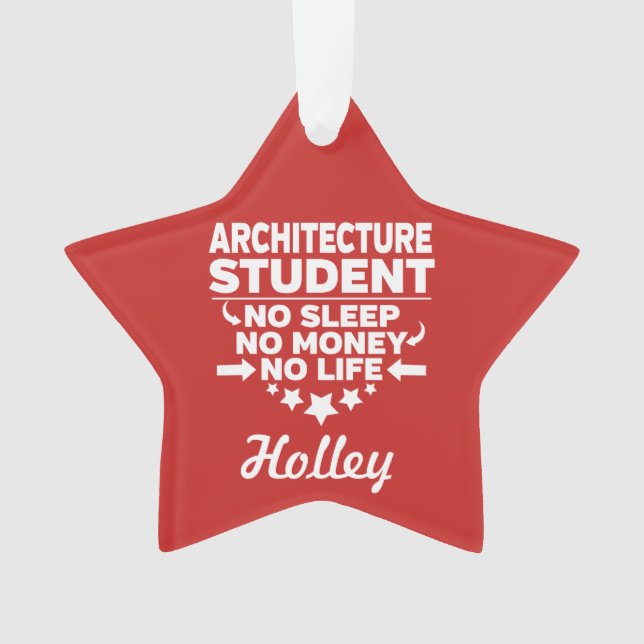 Architecture Student No Life or Money Ornament (Front)