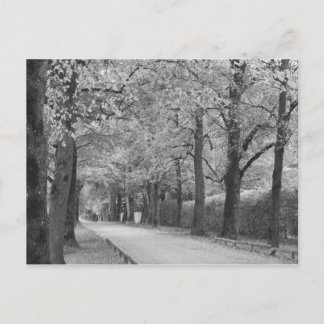 "Archway" custom postcards