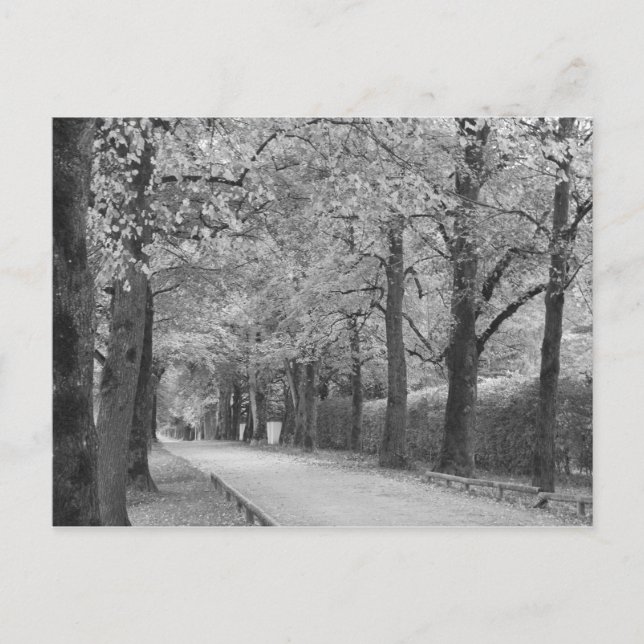 "Archway" custom postcards (Front)