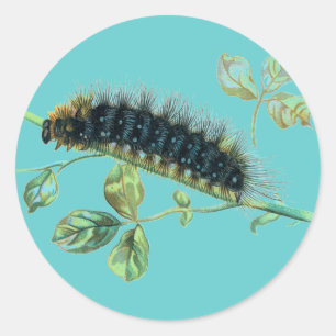 Arctia caja caterpillar classic round sticker
