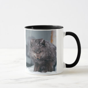 Arctic Alaska Blue Phase Winter Fox Photo Designed Mug