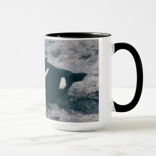 Arctic Alaska Waterfowl King Eider Male Photo Mug (Right)