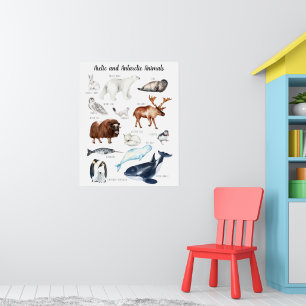 Arctic Animals   Education Learning Classroom Poster