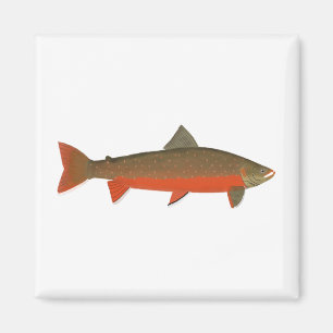 Arctic Char Magnet