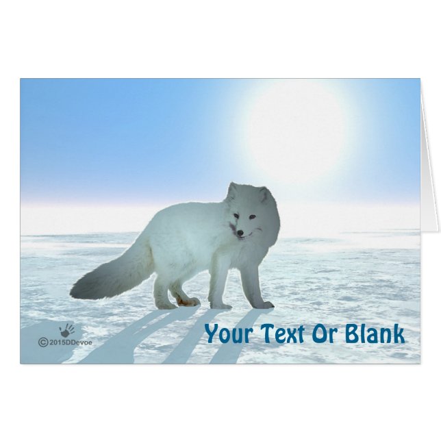 Arctic Fox (Front Horizontal)