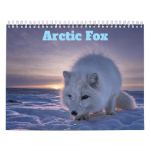 Arctic Fox 2027 Calendar