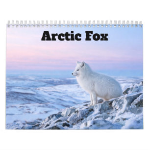 Arctic Fox 2027 Calendar