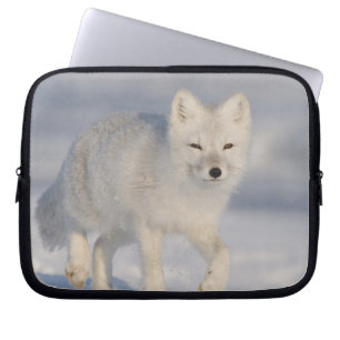 Arctic Fox, Alaska Laptop Sleeve