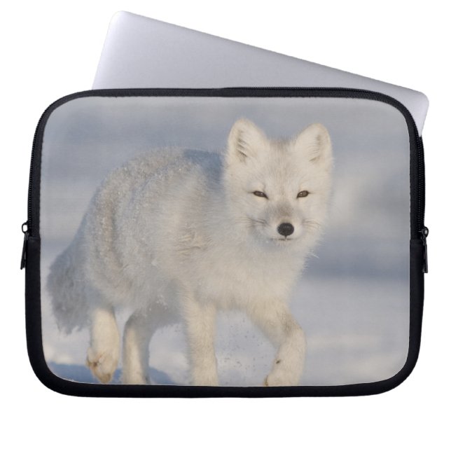 Arctic Fox, Alaska Laptop Sleeve (Front)