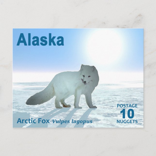 Arctic Fox - Alaska Postage Postcard (Front)