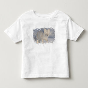 Arctic Fox, Alaska Toddler T-Shirt