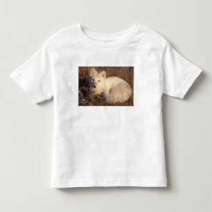 arctic fox, Alopex lagopus Toddler T-Shirt