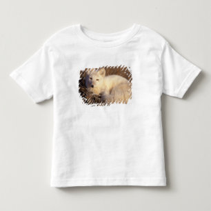 arctic fox, Alopex lagopus Toddler T-Shirt