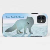 Arctic Fox