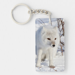 Arctic Fox , Churchill Wildlife Management Area Key Ring