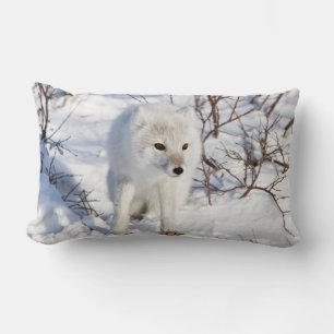 Arctic Fox , Churchill Wildlife Management Area Lumbar Cushion