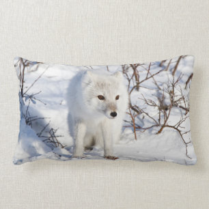 Arctic Fox , Churchill Wildlife Management Area Lumbar Cushion
