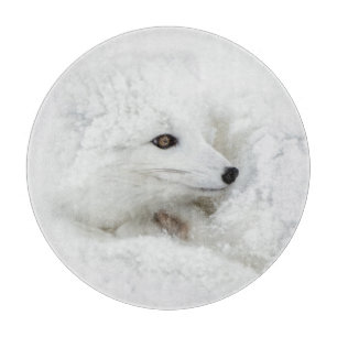Arctic Fox curled up in winter Cutting Board