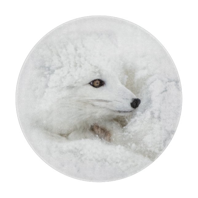 Arctic Fox curled up in winter Cutting Board (Front)
