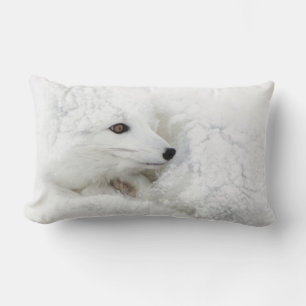 Arctic Fox curled up in winter Lumbar Cushion