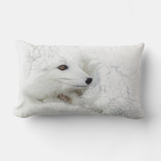 Arctic Fox curled up in winter Lumbar Cushion (Front)