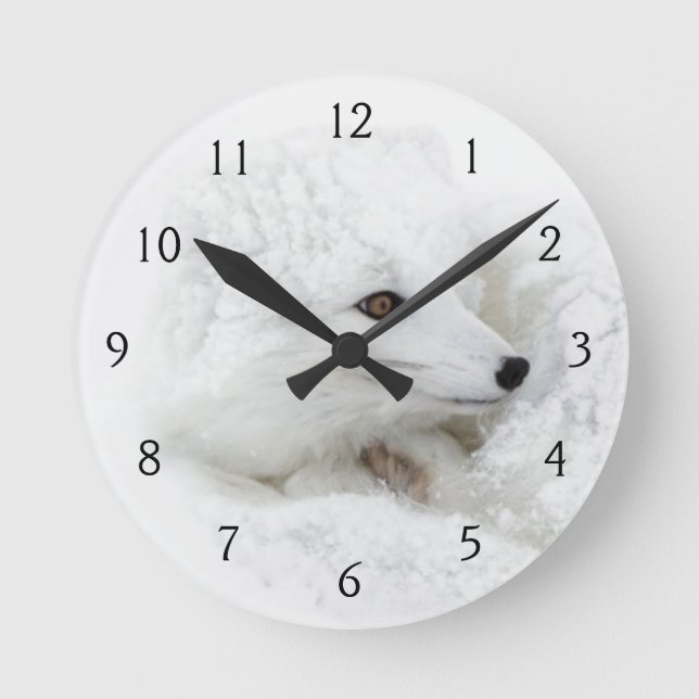 Arctic Fox curled up in winter Round Clock (Front)